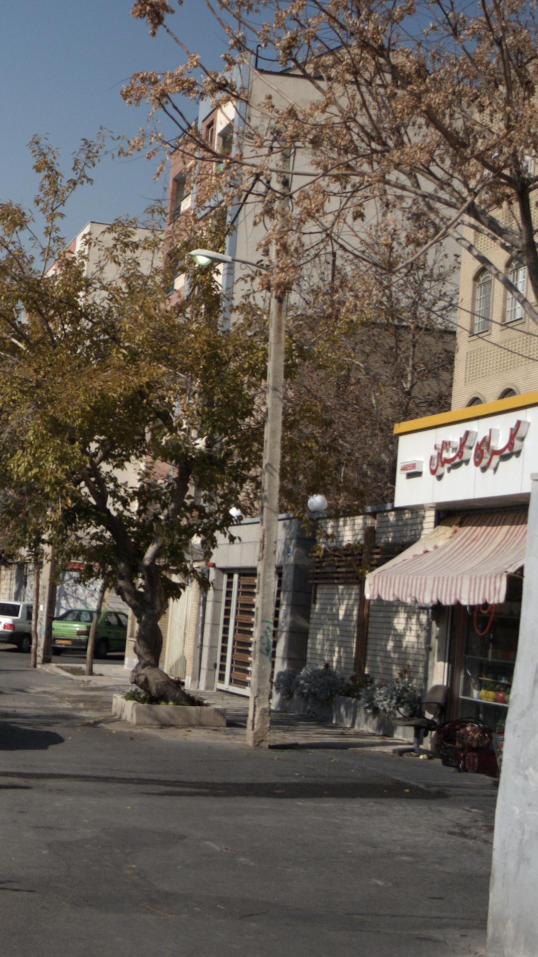 گلسرای گلستان