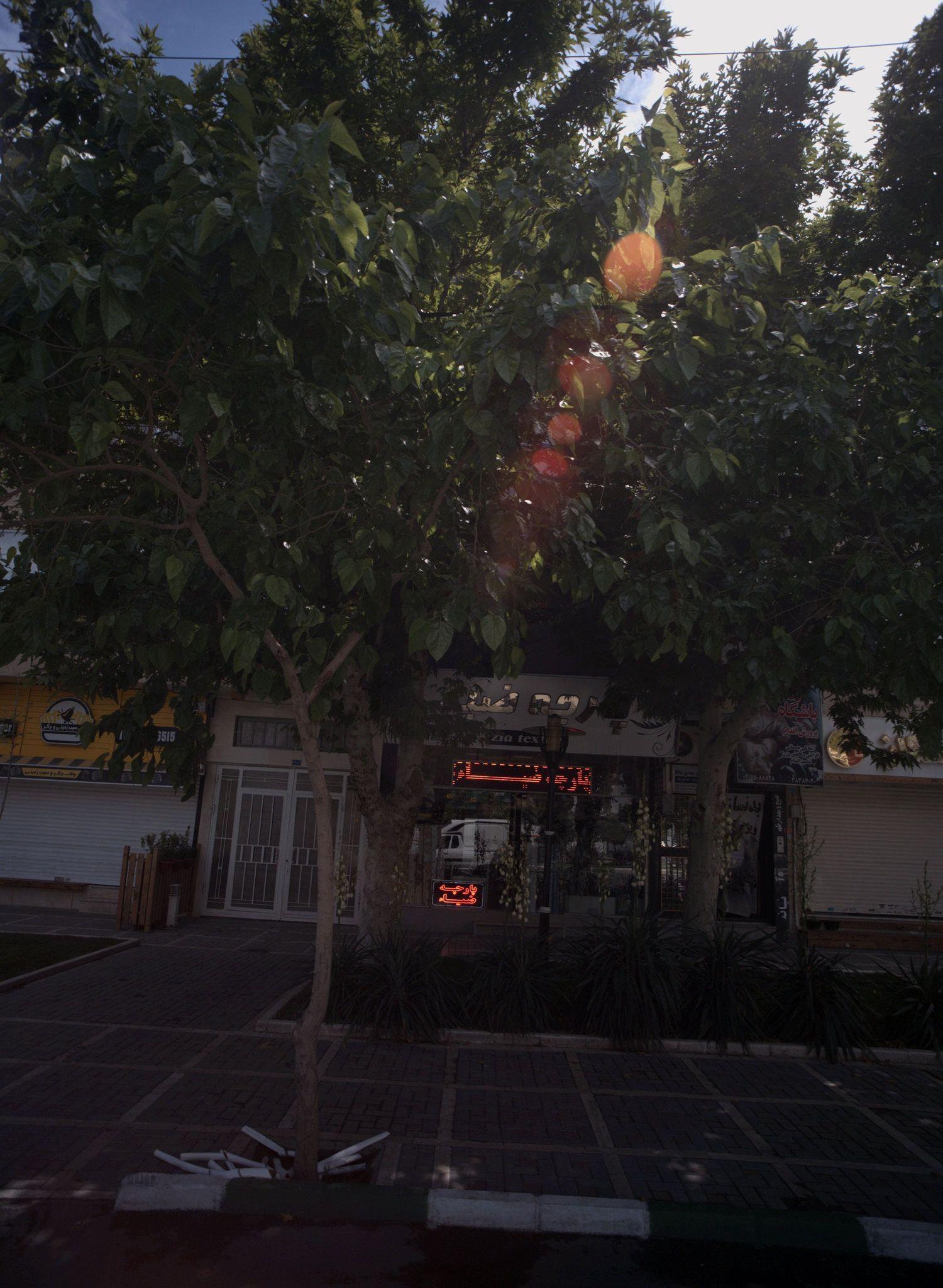 باشگاه پرورش اندام