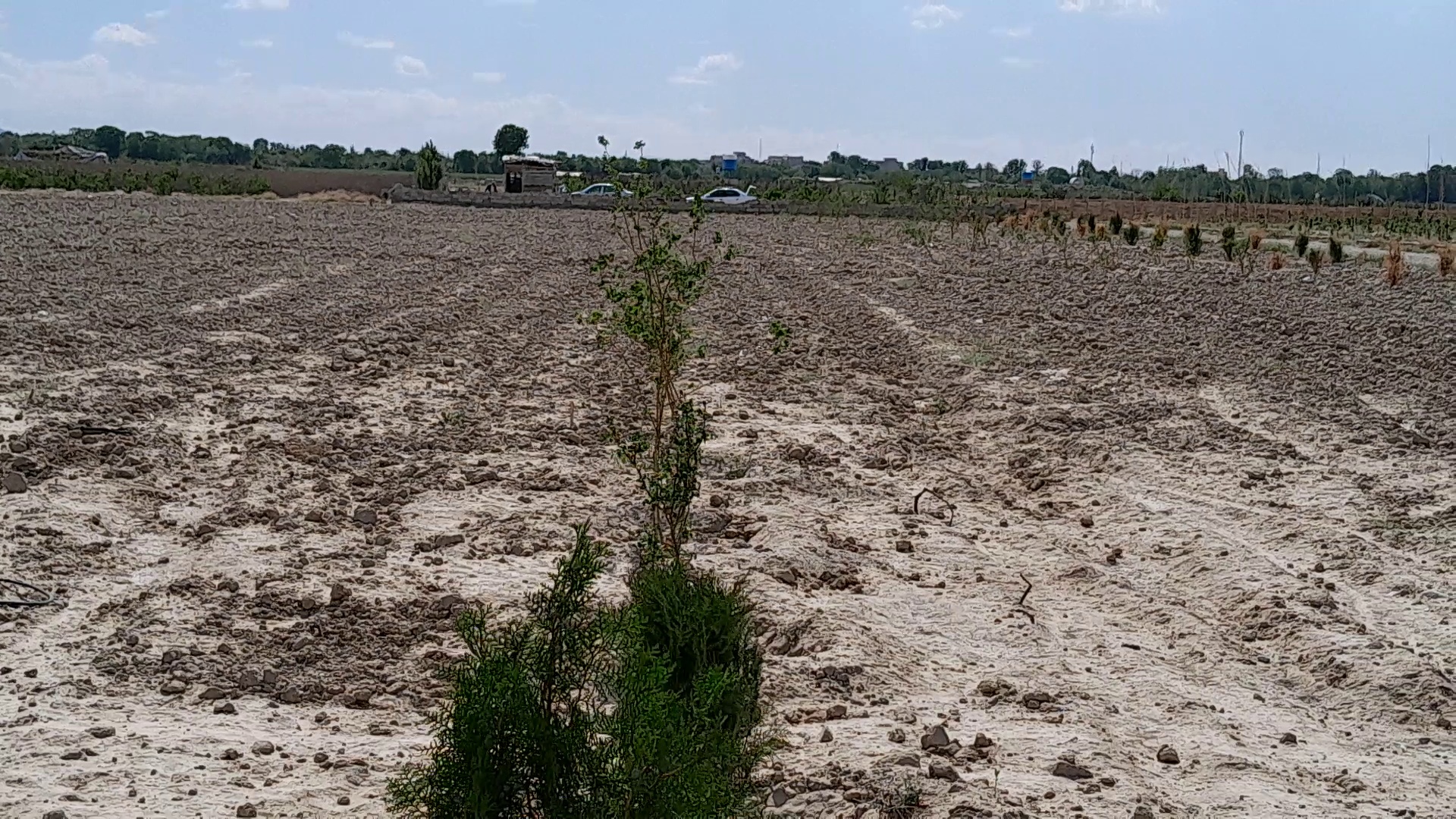 مشاوراملاک بالابان