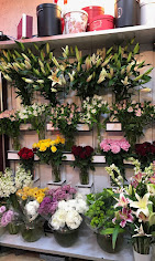 گلفروشی گل ارکیده