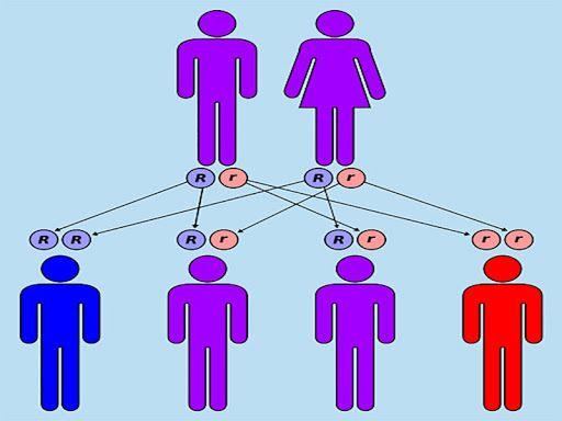 مشاوره ژنتیک دکتر حسن محبتی