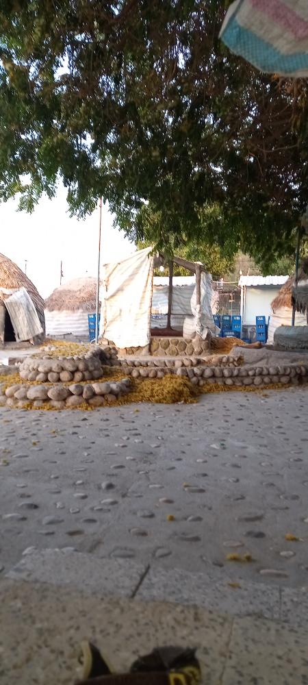 رستوران نخل