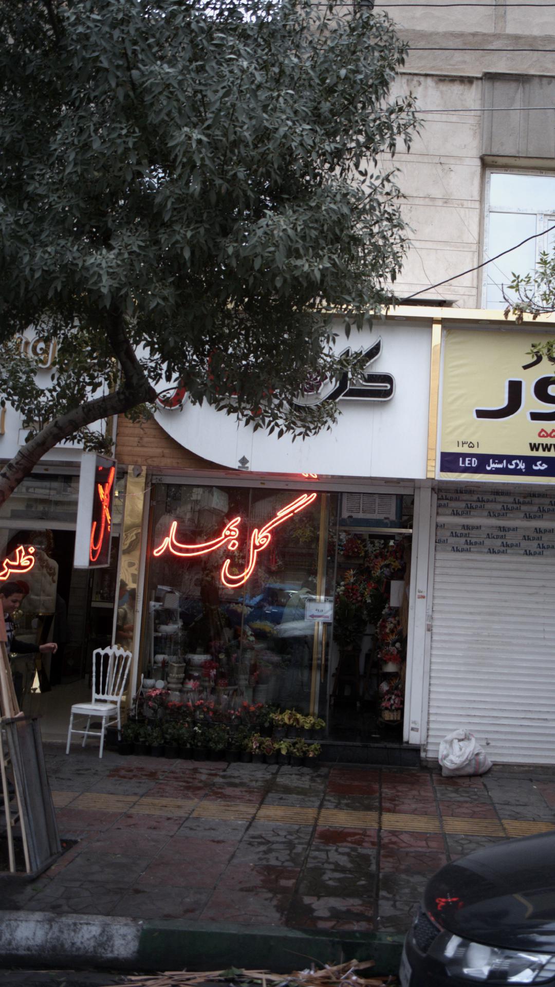 گل بهار