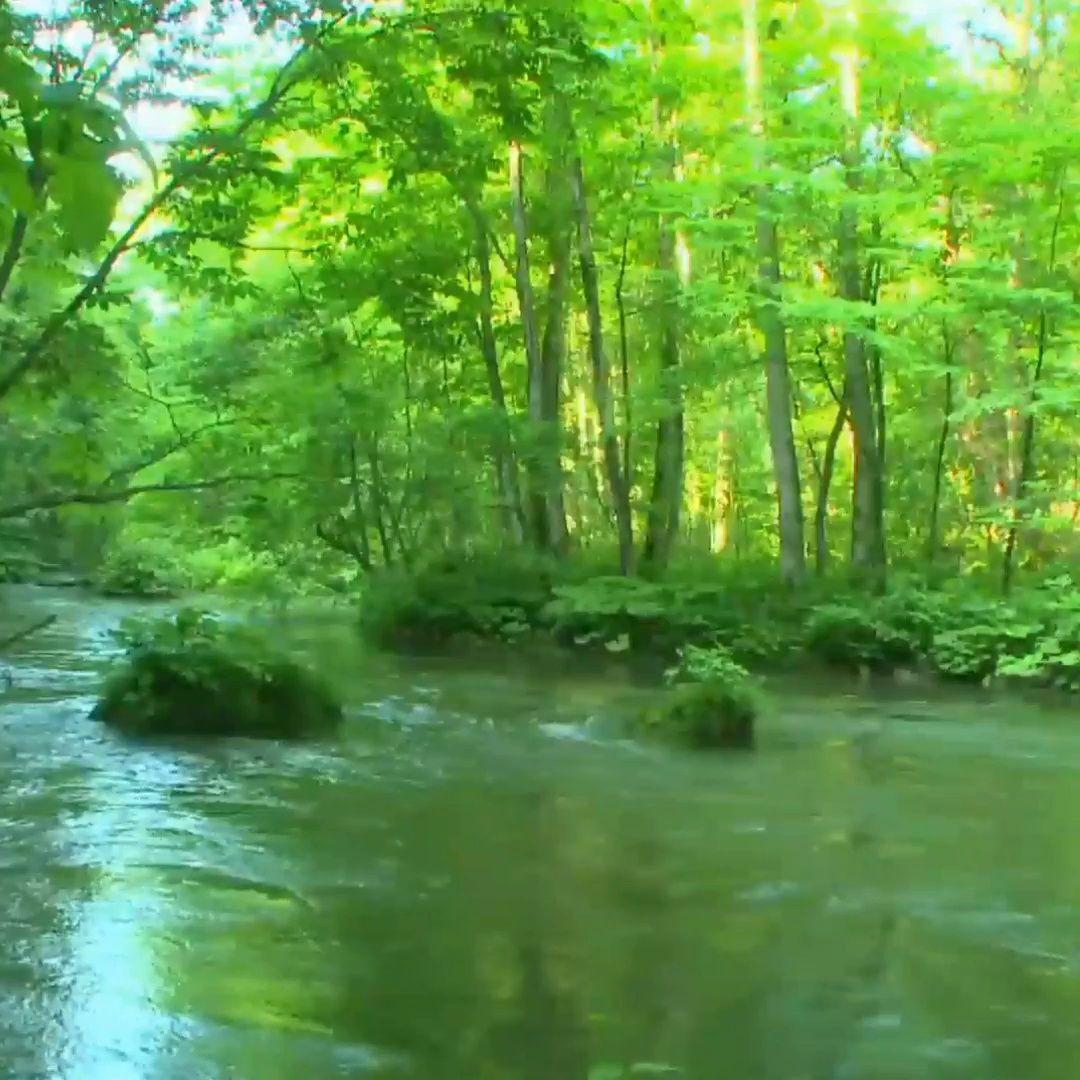 کلنیک روانشناسی برکه آرامش