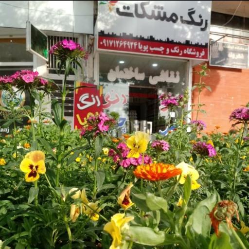 فروشگاه رنگ پویا