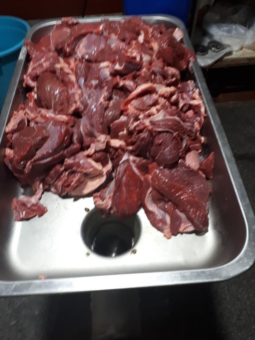 رستوران زیتون