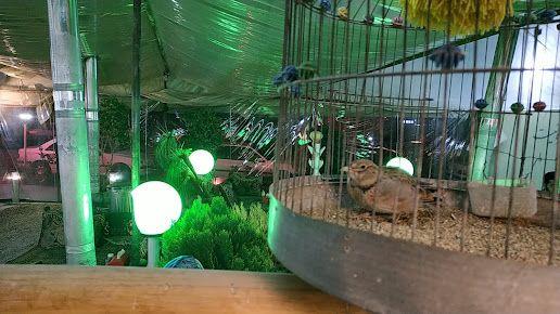 جگرکی بابا حیدر