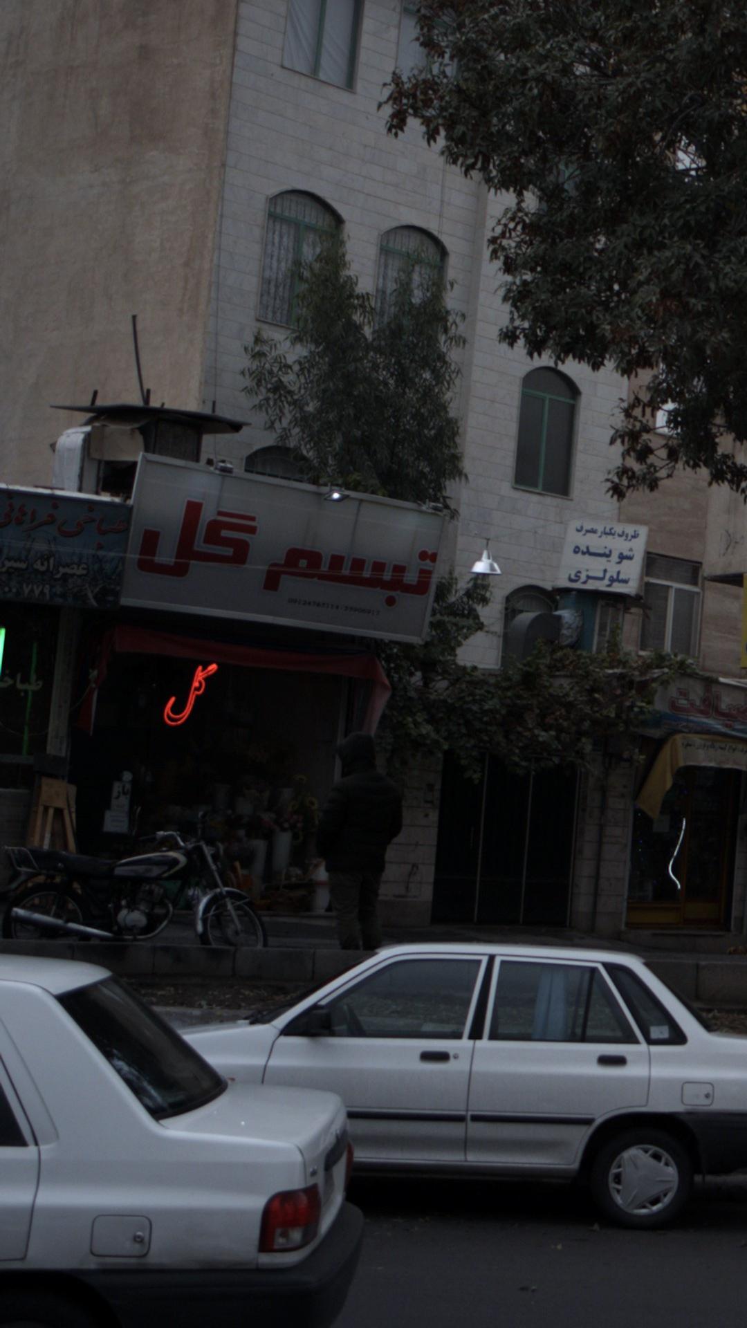 تبسم گل