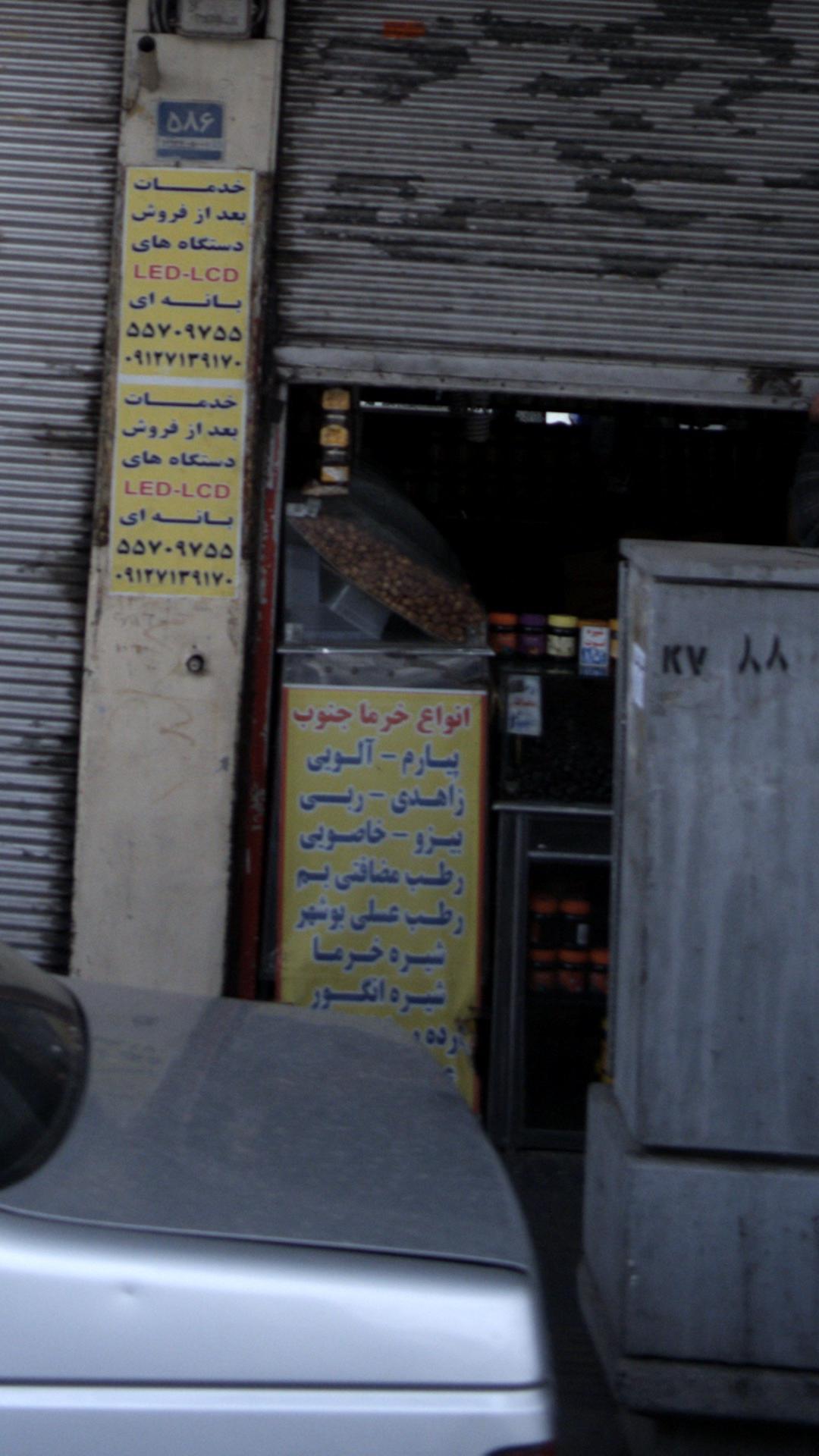 انواع خرما جنوب