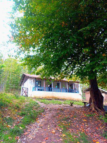 اقامتگاه فانوس