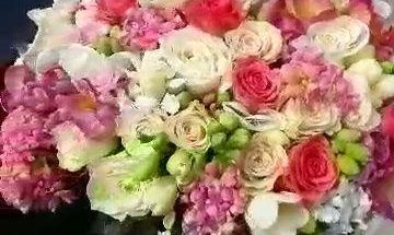 گلسرای پونک