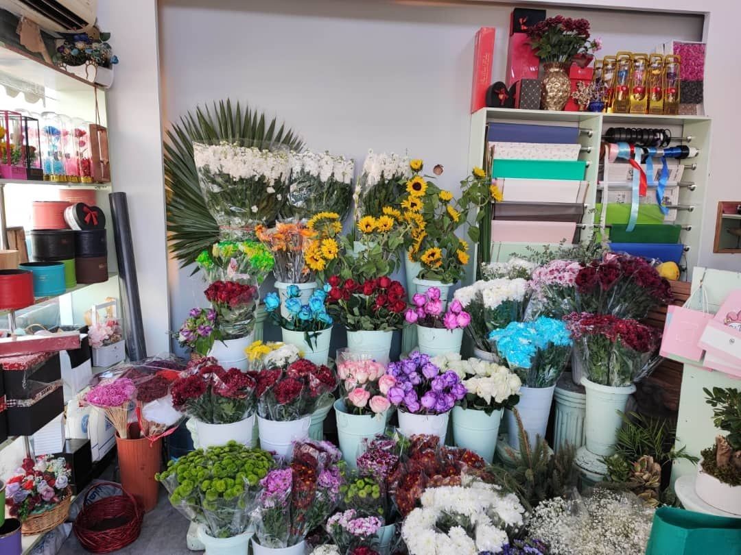 گل پارادایس