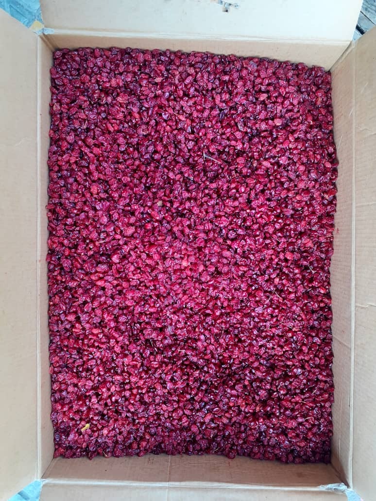 نمایندگی ادویه وزعفران عباس زاده اصل