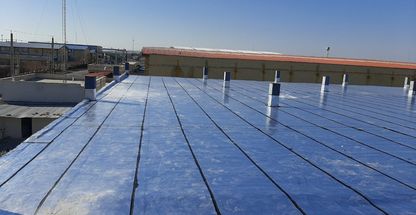 ابوالفضل عباسی مردانی