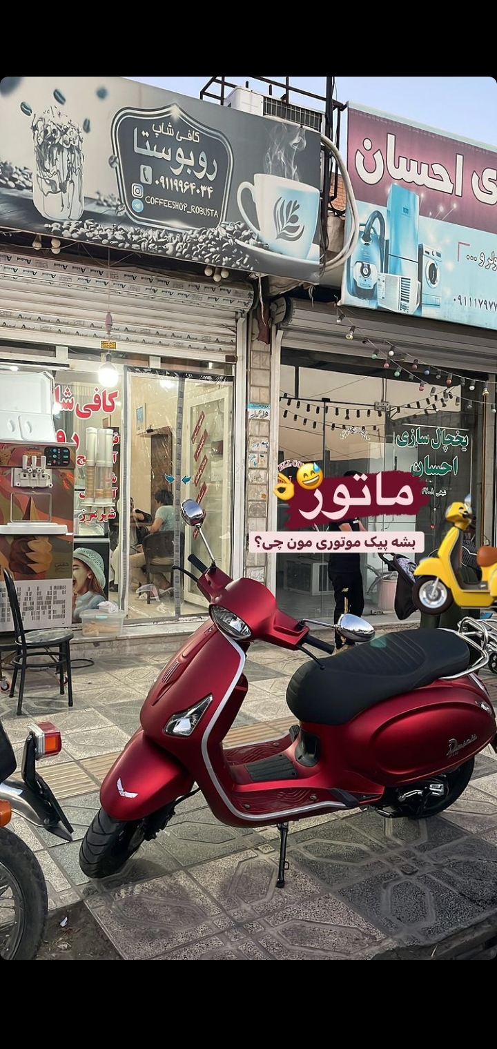 روبوستا