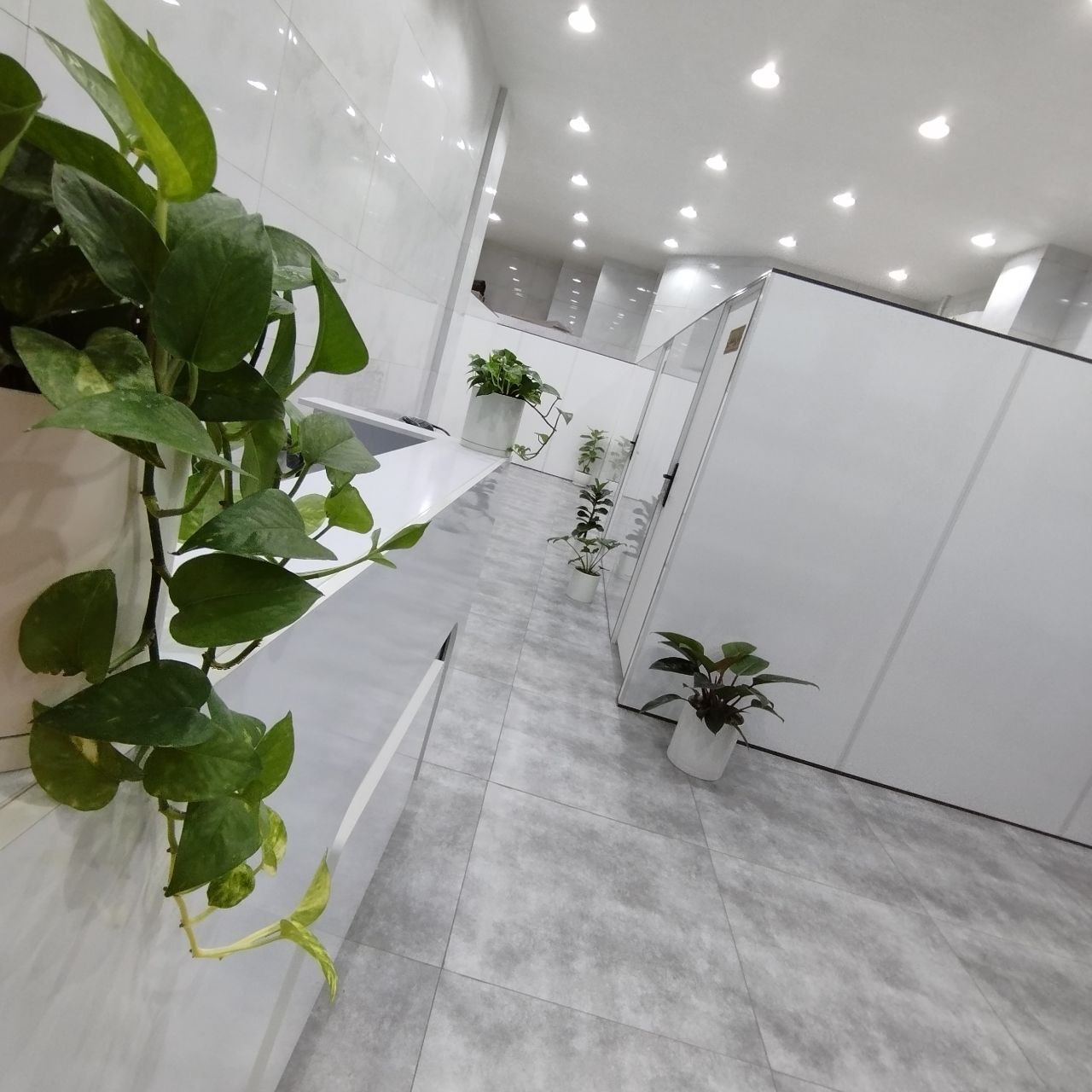 کلینیک تخصصی ولیعصر