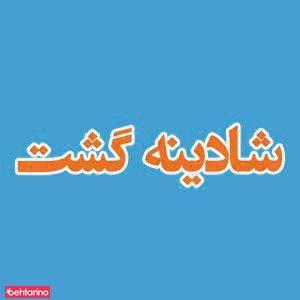 آژانس هواپیمایی شادینه گشت