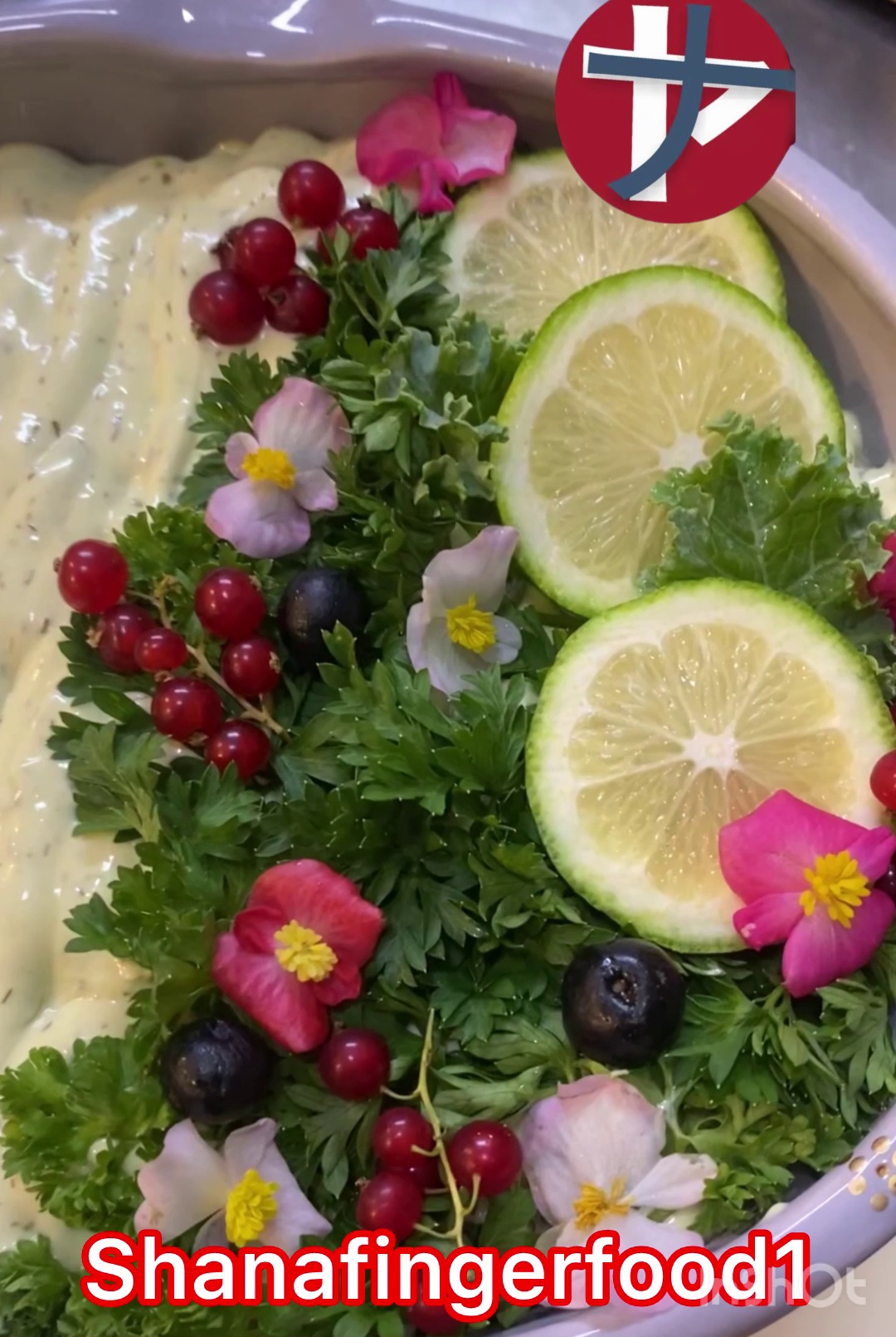 شانا فینگر فودshanafingerfood آنلاین شاپ
