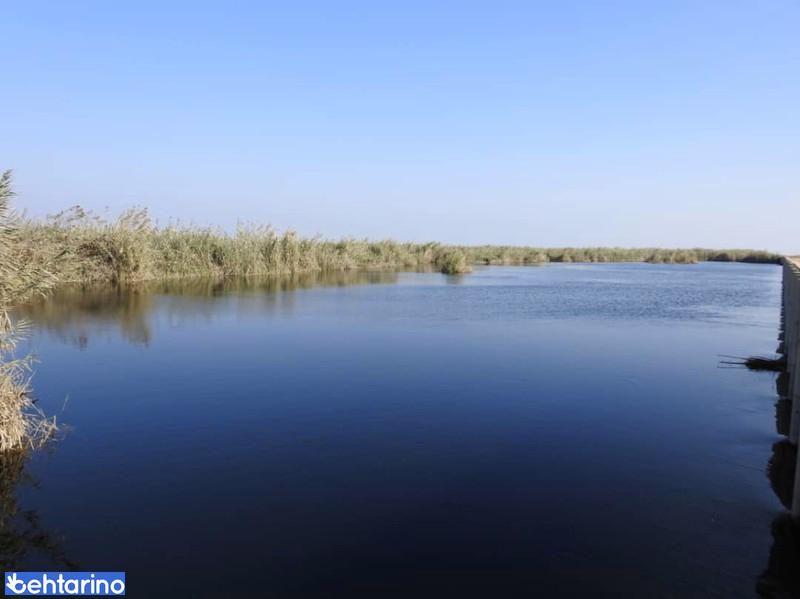 تالاب هور مزرعه