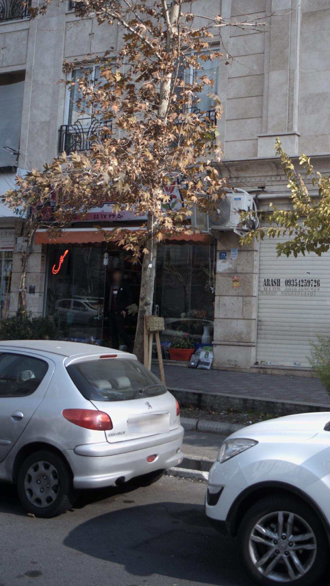 گل سرای السترو مریا