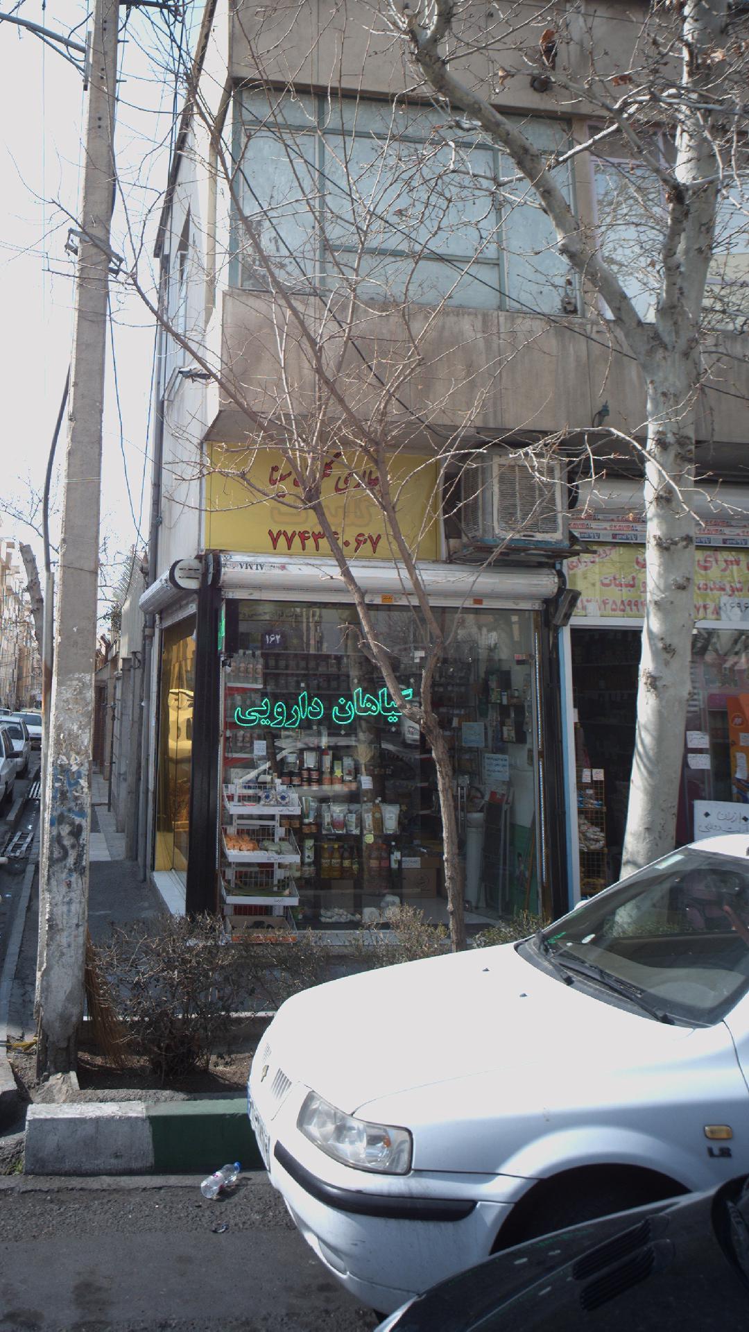 عطاری آفتابگردان 2