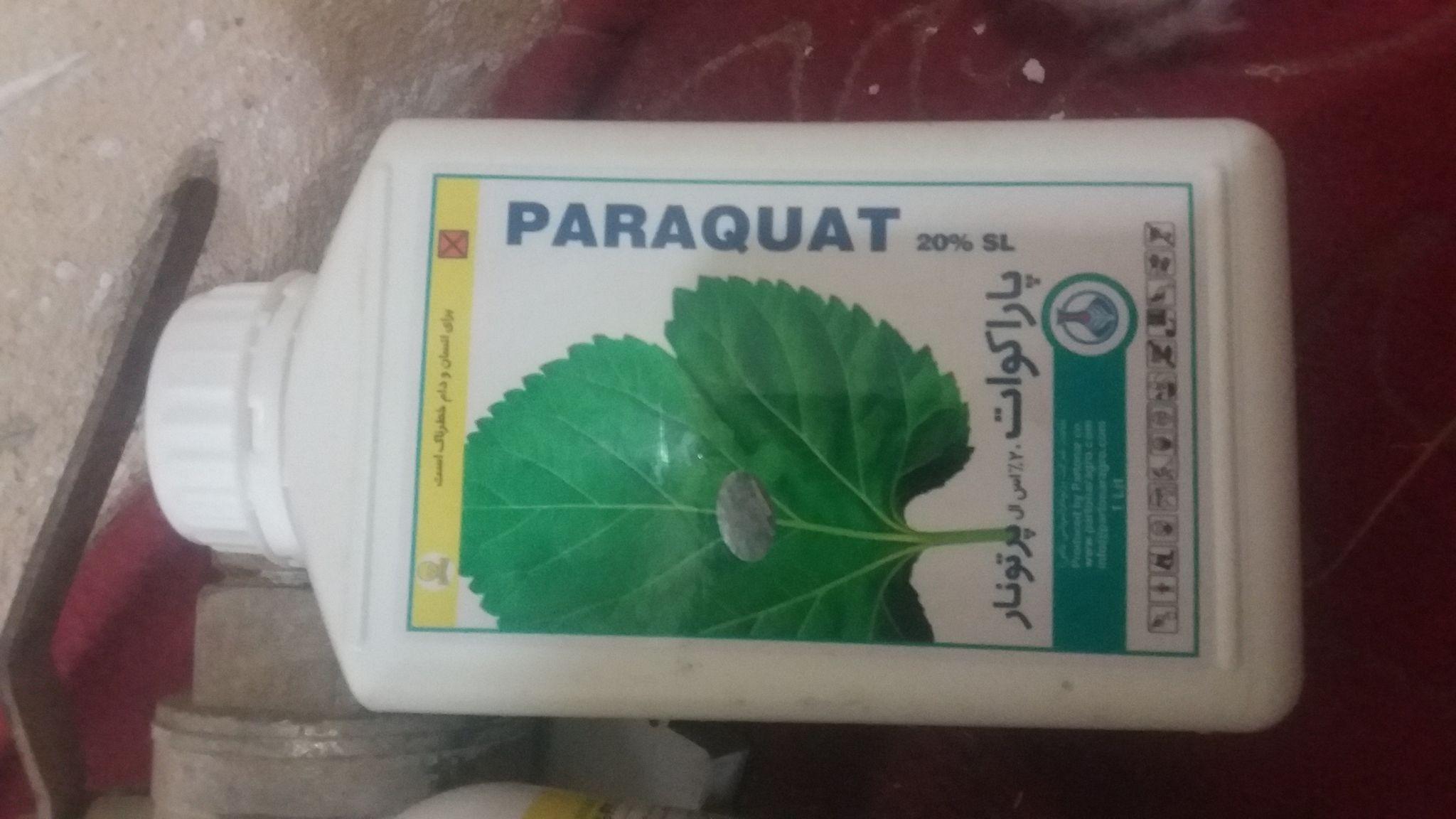 مسکن مهر بهار