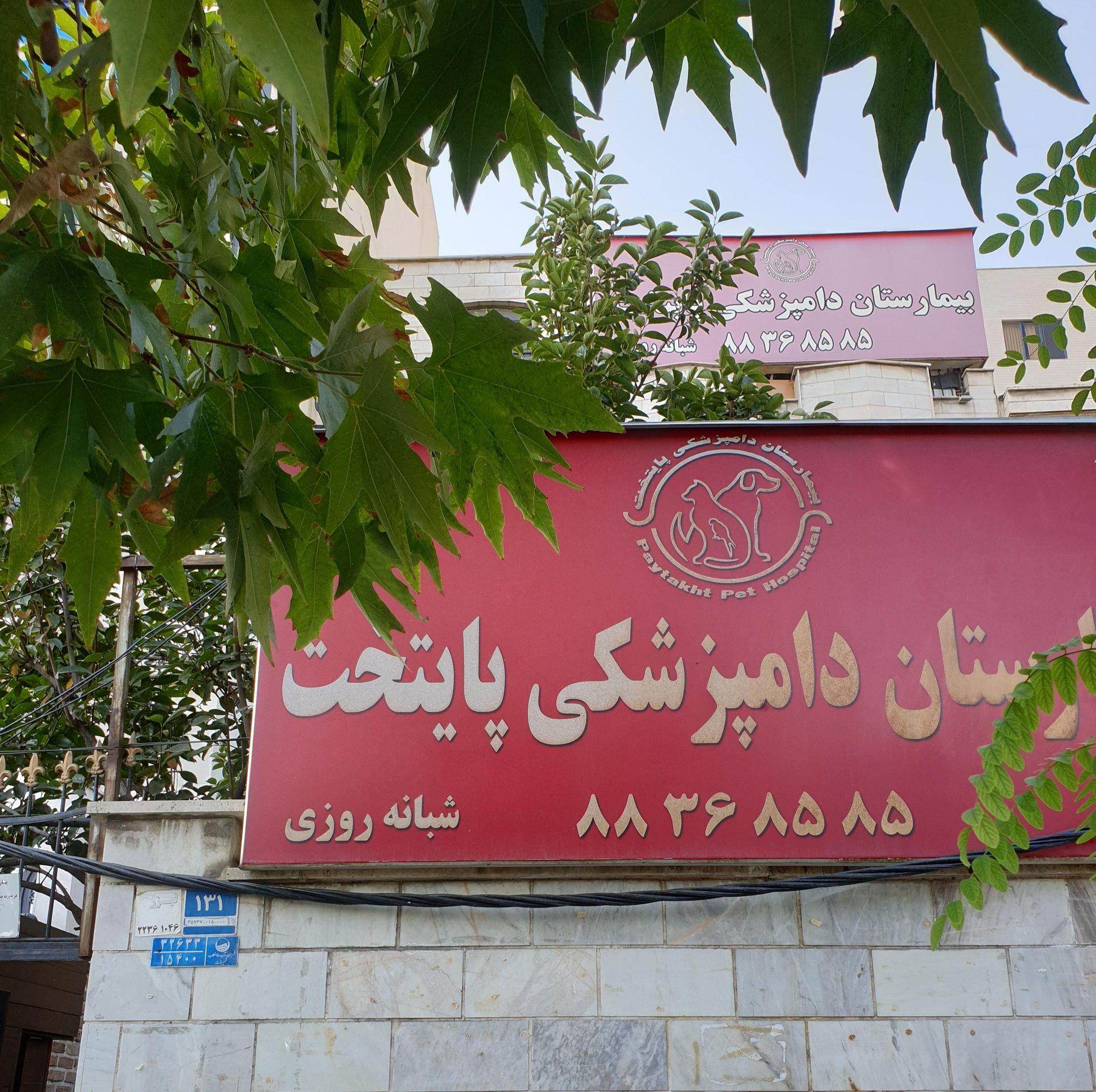 دامپزشکی پایتخت