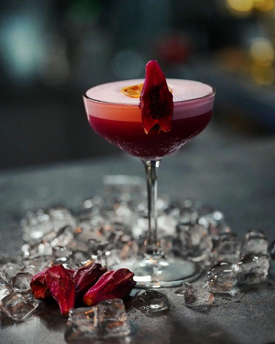 کافه کاکتوس