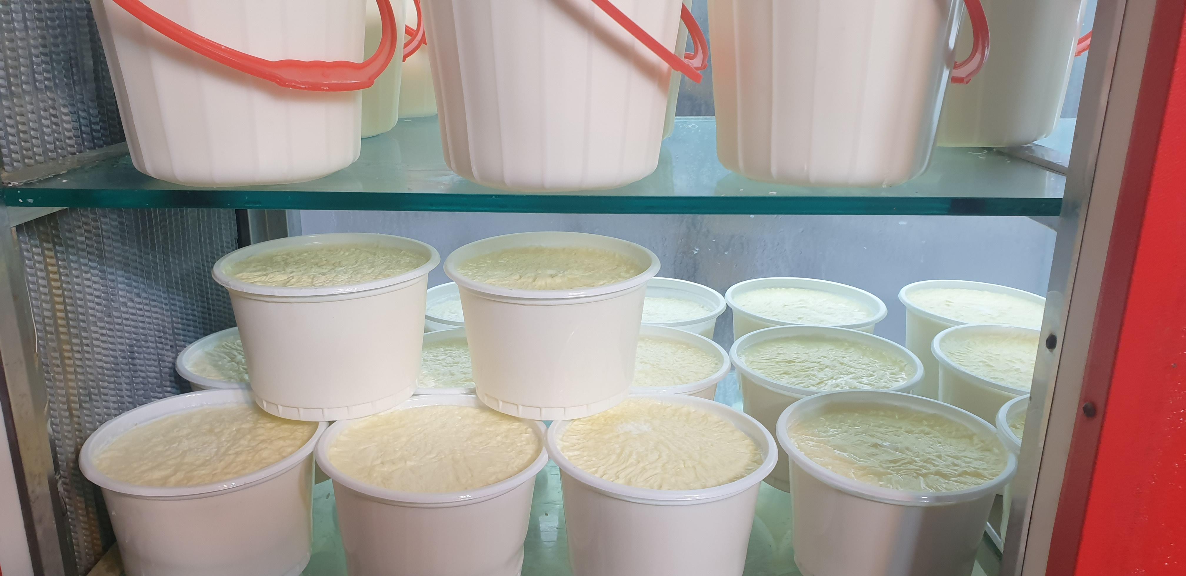 لبنیات سنتی محله