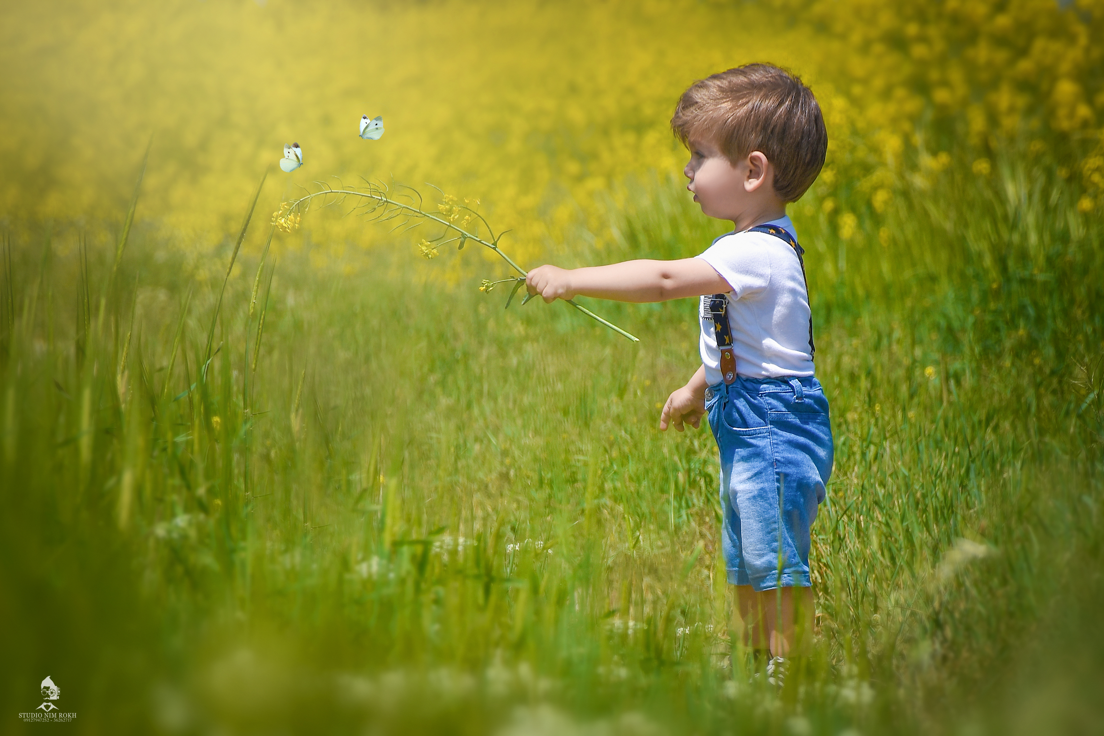 آتلیه نیم رخ