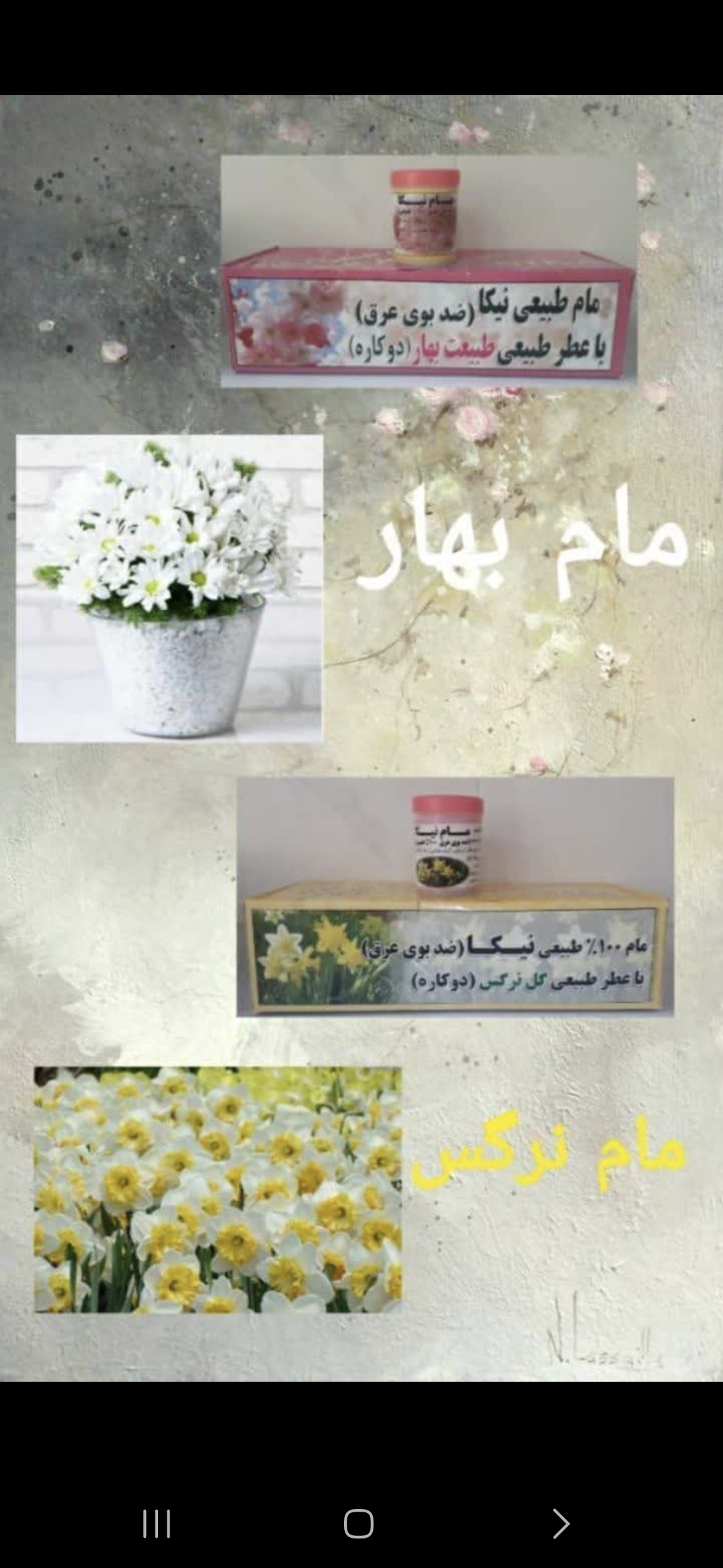 عطاری چیلی خشک بار خار بار