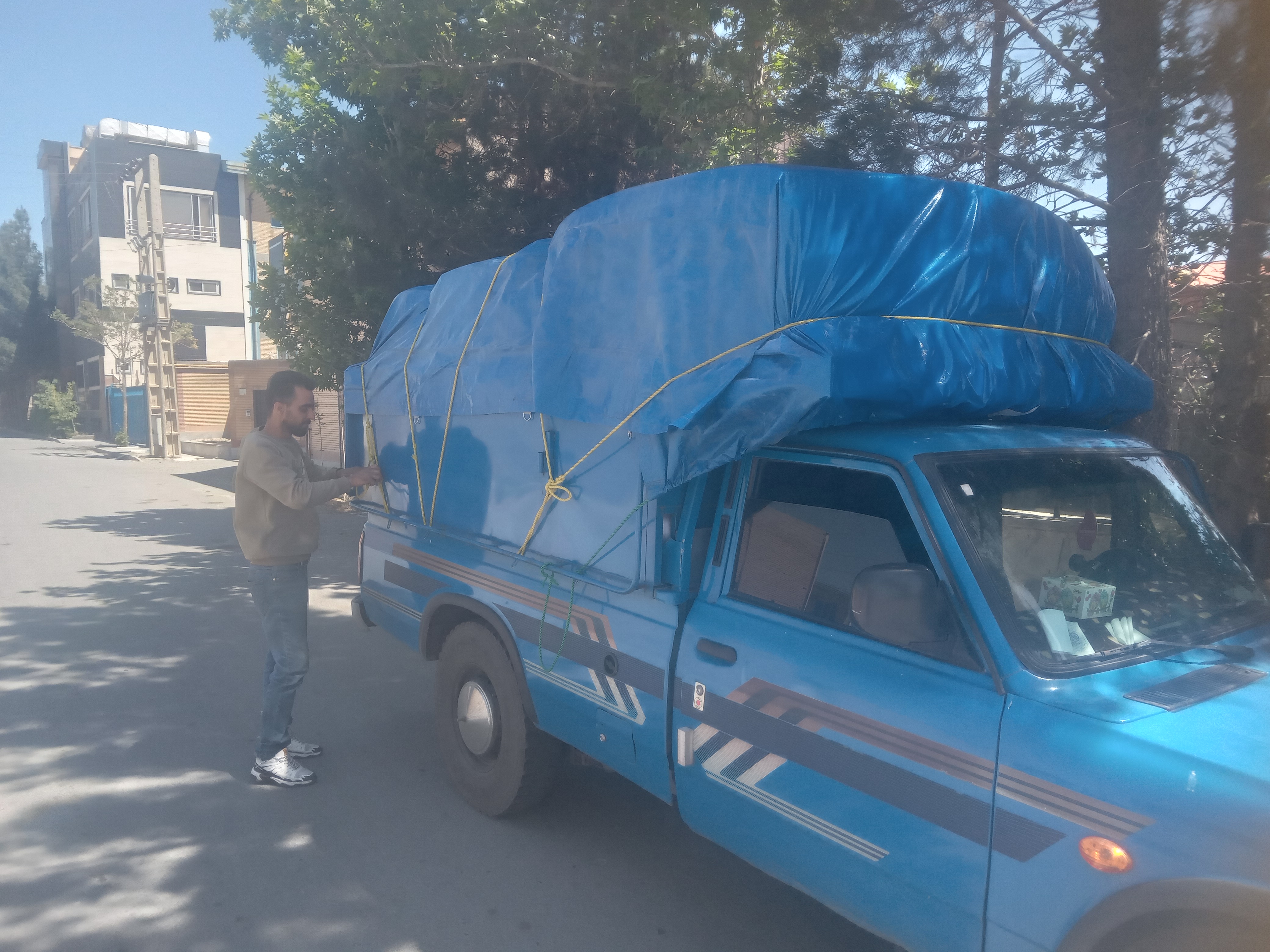 باربری حمید