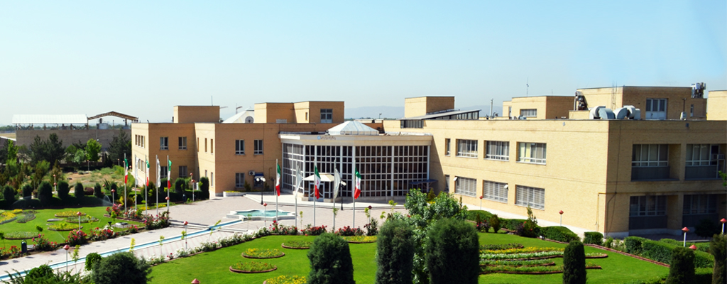 طراحی سایت پدیدار نوین