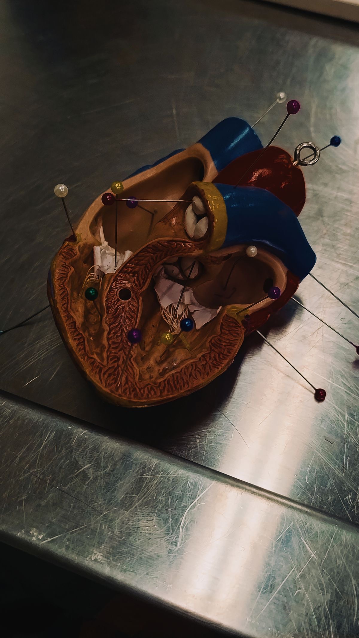 کلینیک تخصصی فلوشیپ قلب رادمان