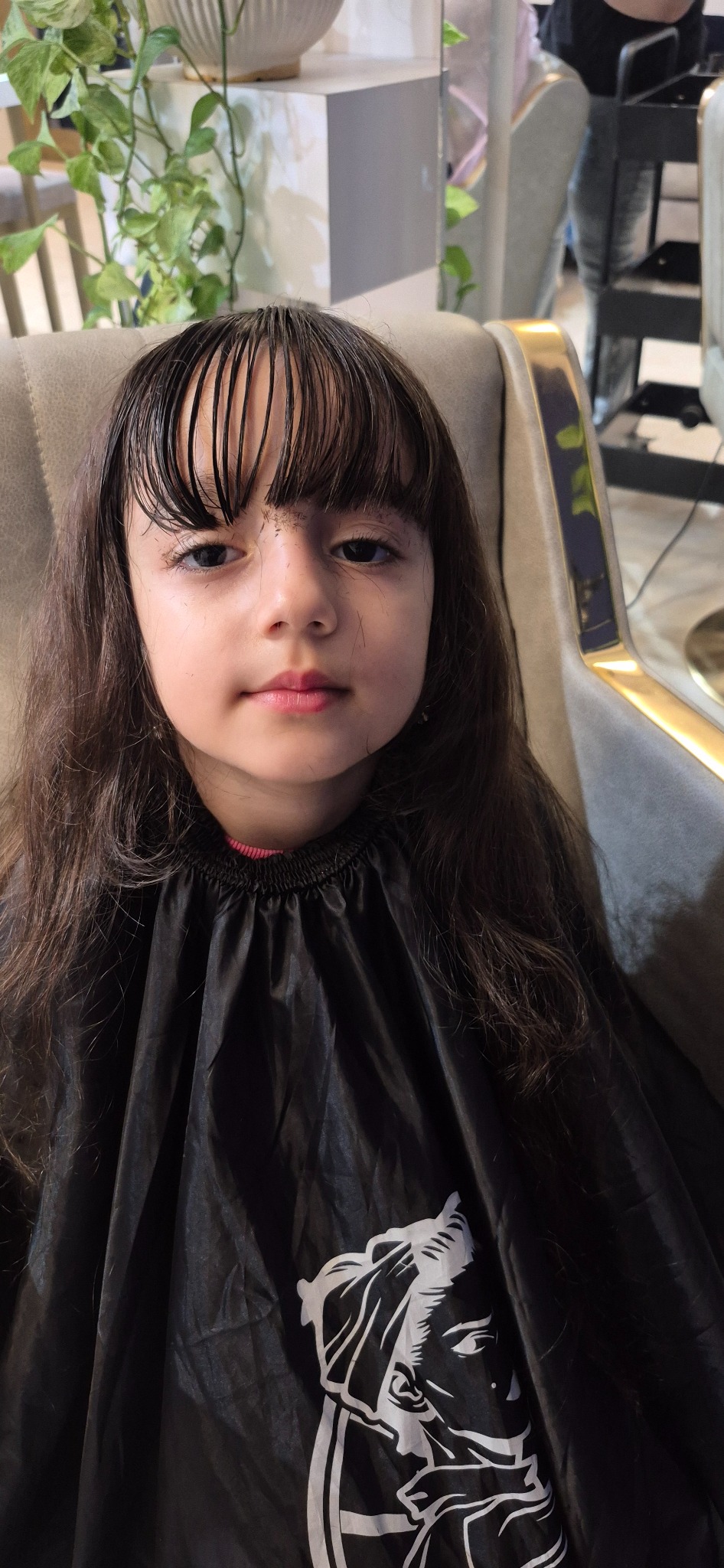 خدمات تخصصی اصلاح و ابرو  وکوتاهی مو