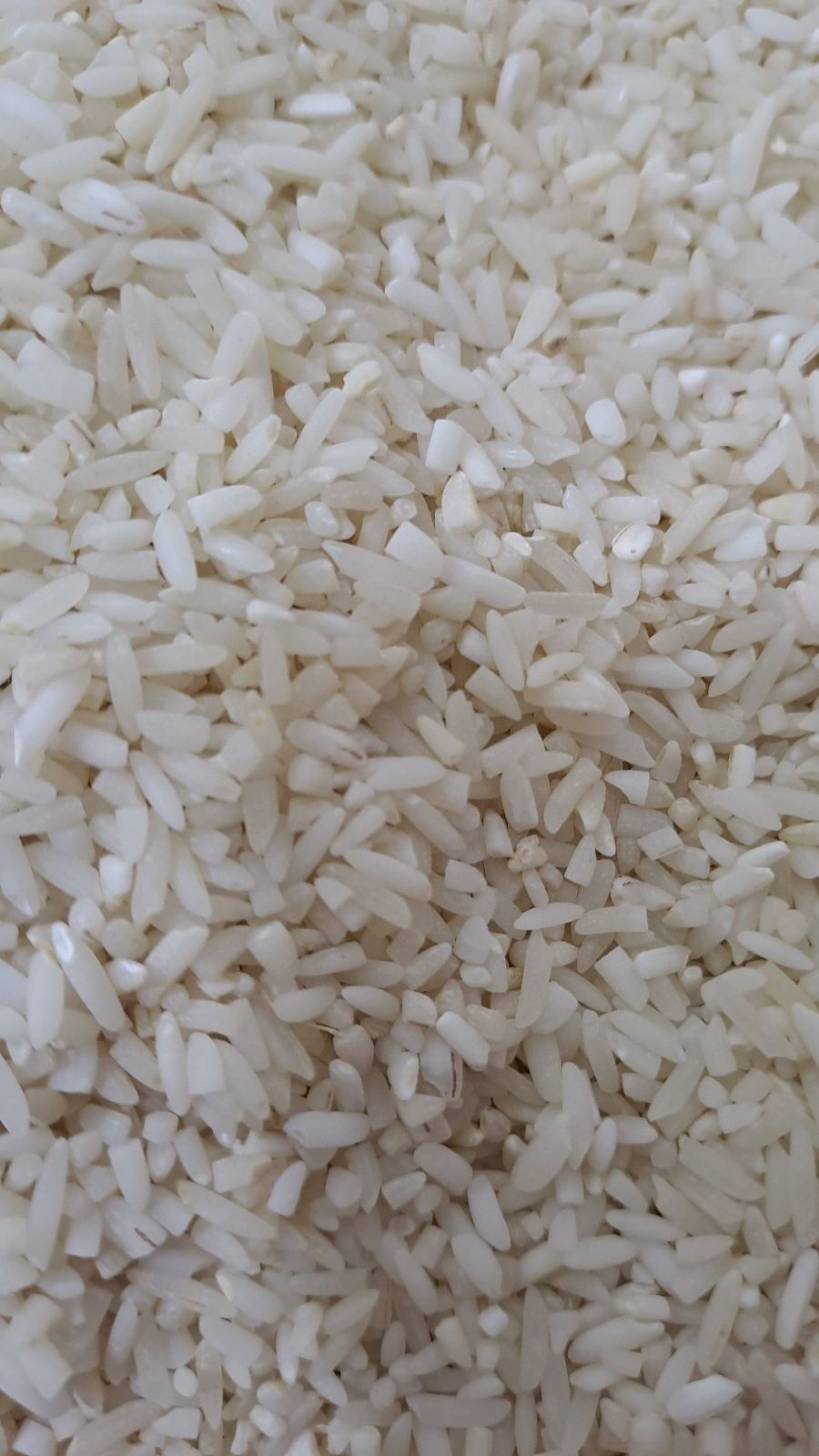 برنج خان عمو