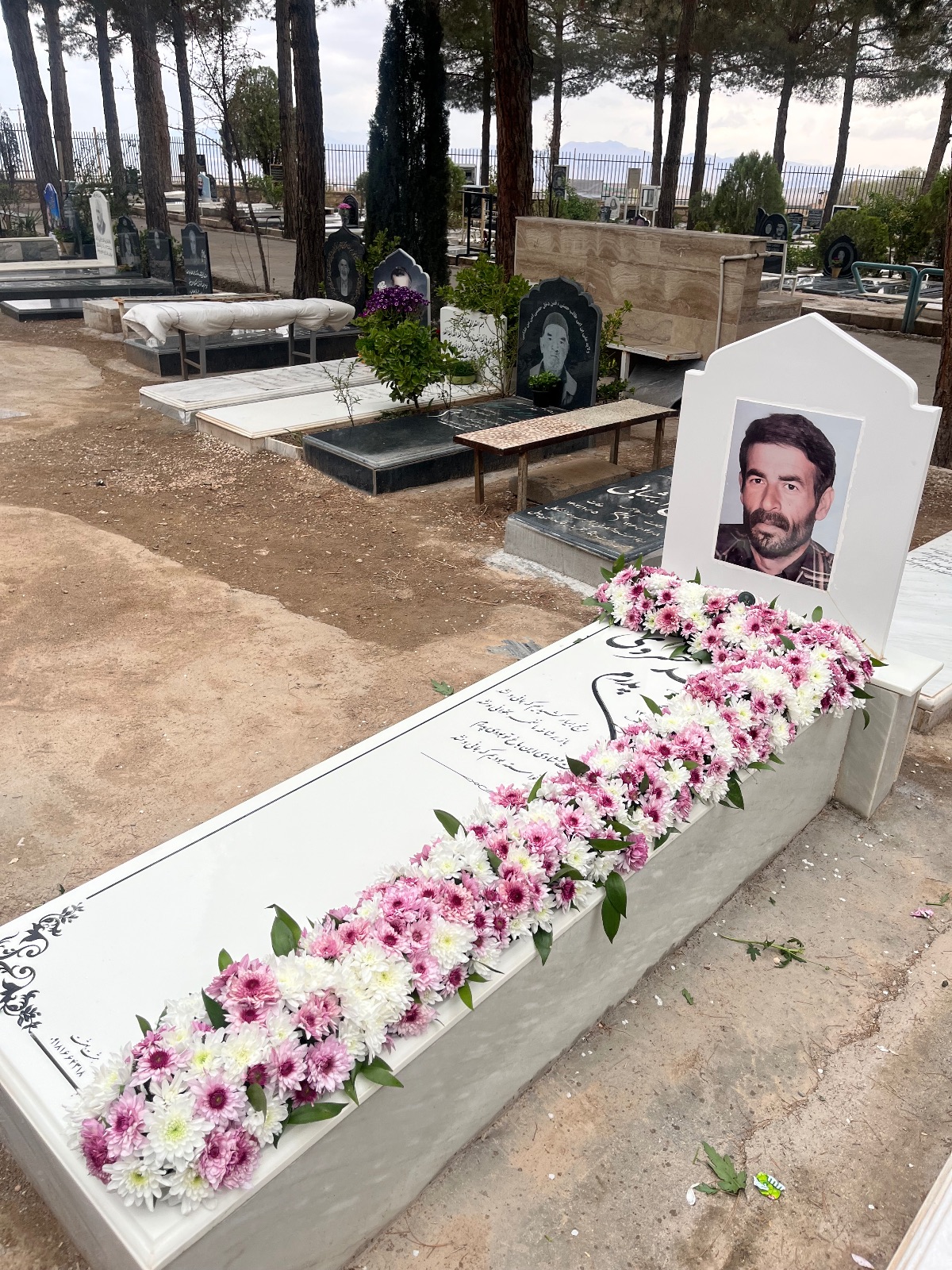 گلفروشی الارز