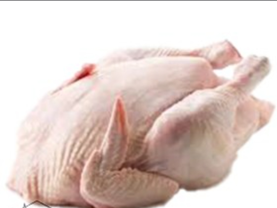 مرغ کشتار روز رئوفی