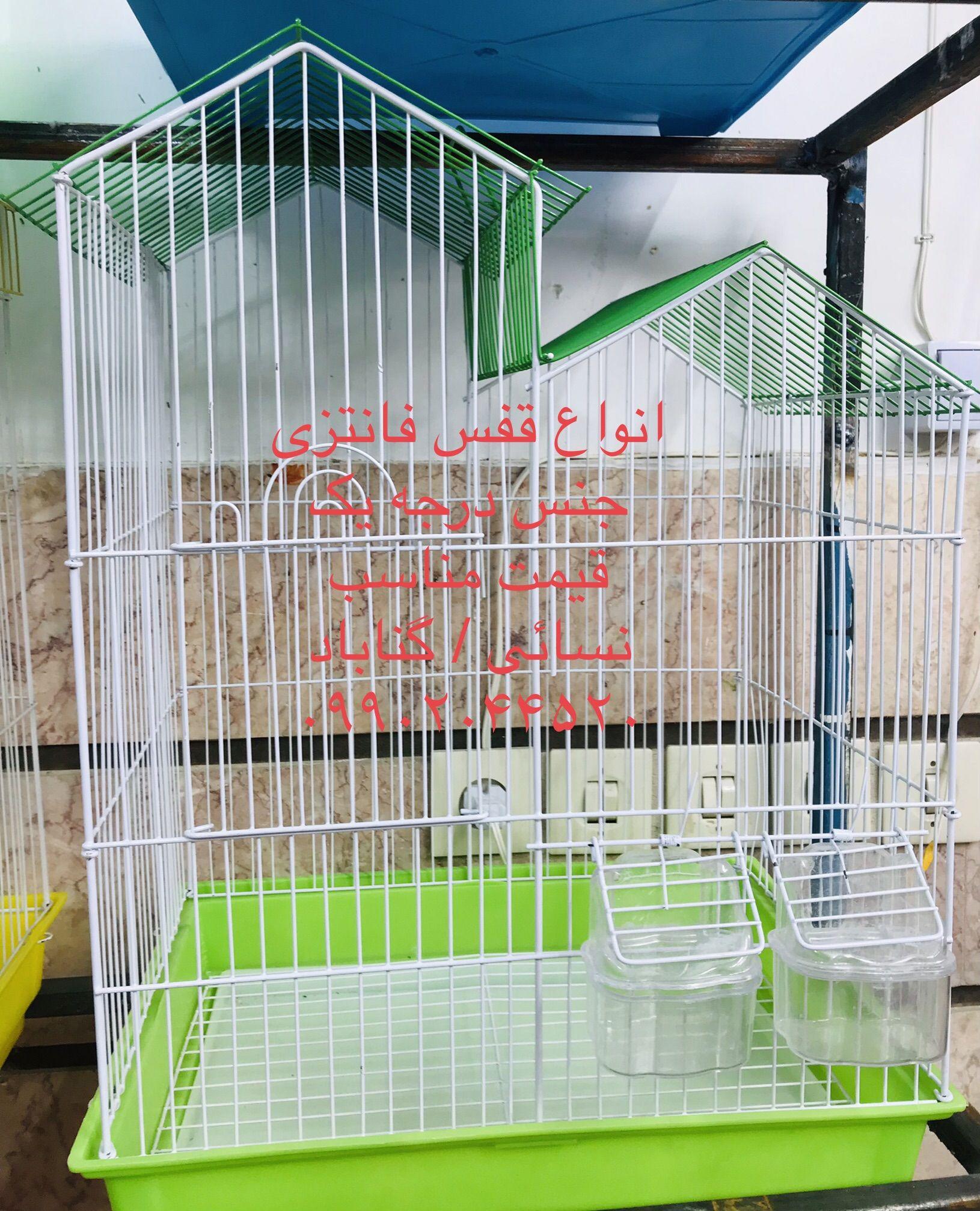 پرنده سرای نسائی