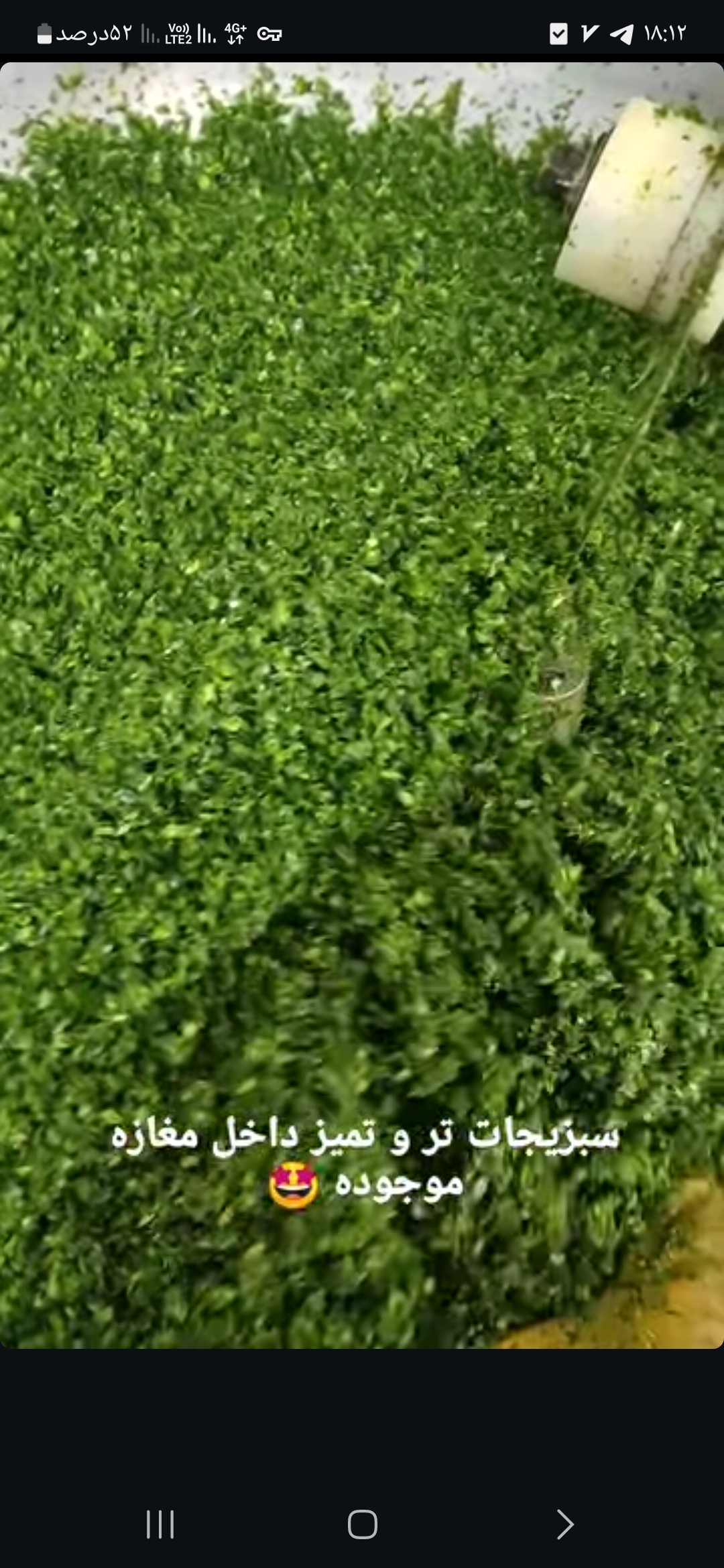 سبزیجات وترشیجات خانگی مهدوی