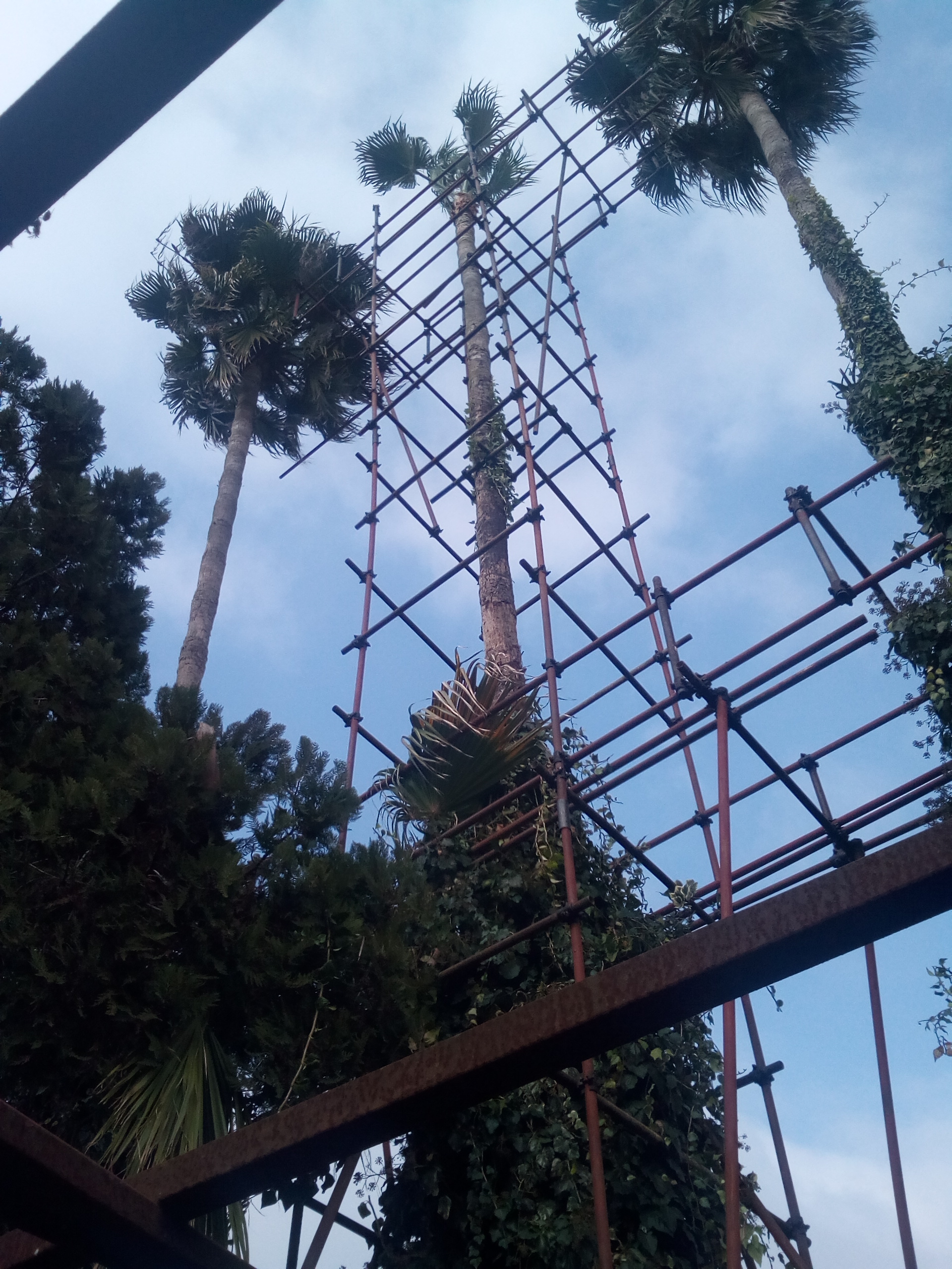 داربست فلزی دیبا