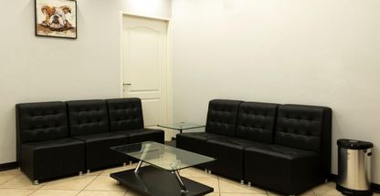 کلینیک دامپزشکی و پت شاپ ژو