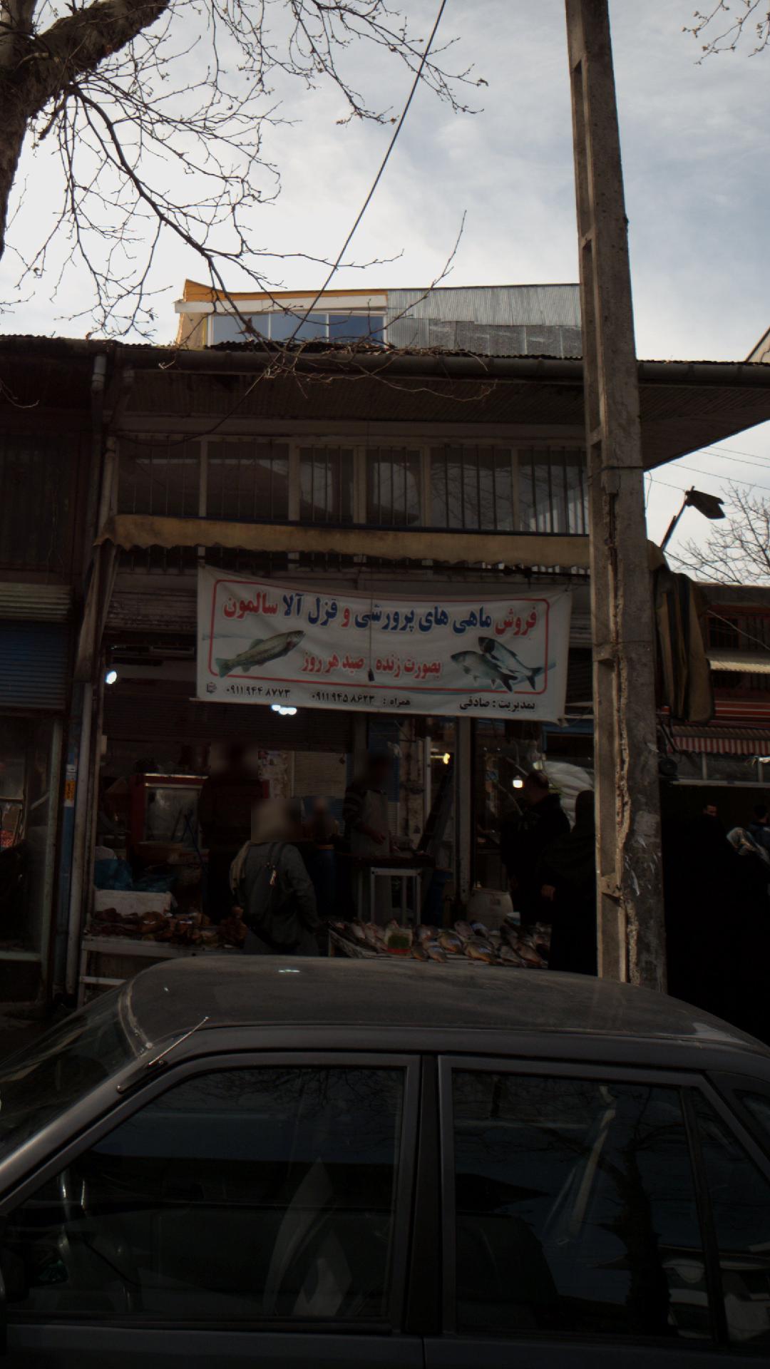 فروش ماهی های پروتئینی و قزل آلا