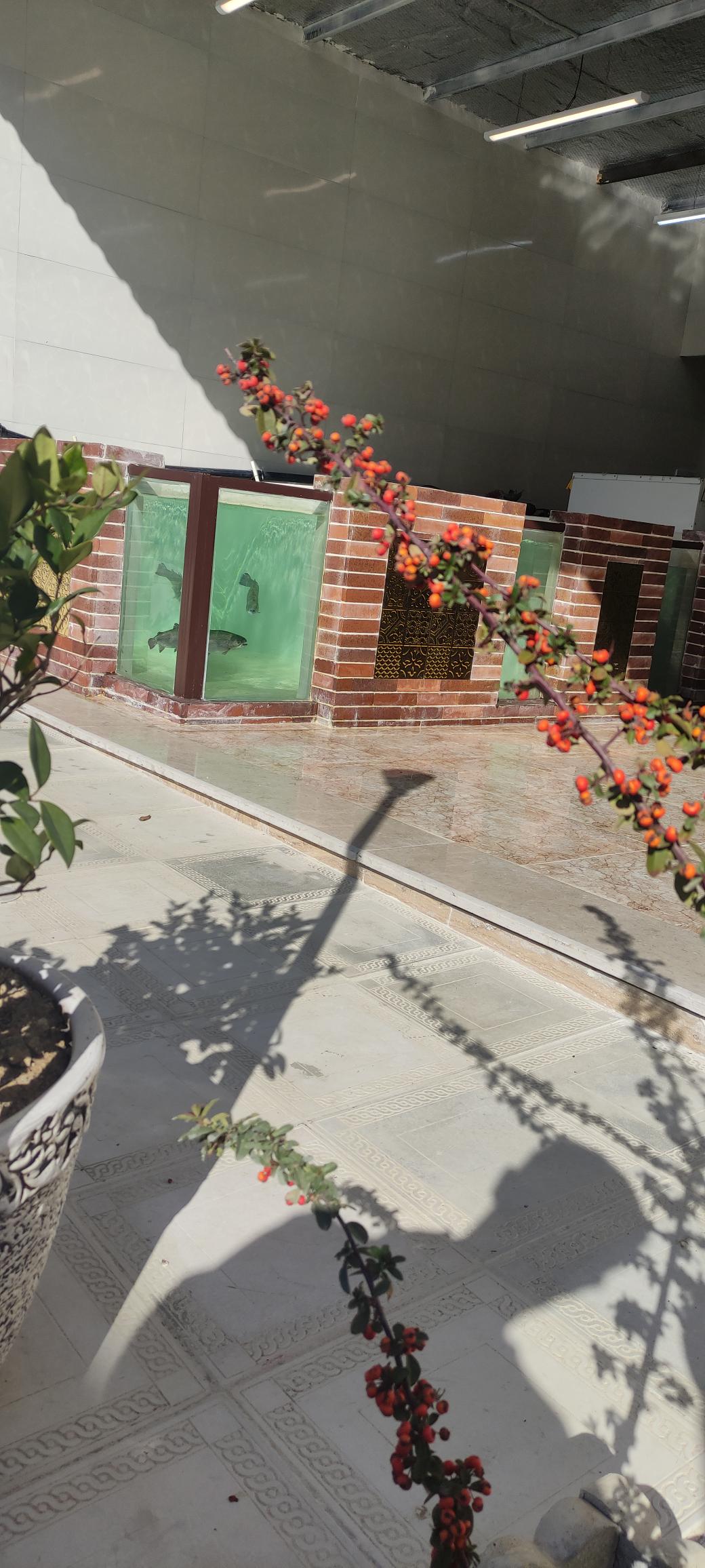 ماهی فروشی برکه