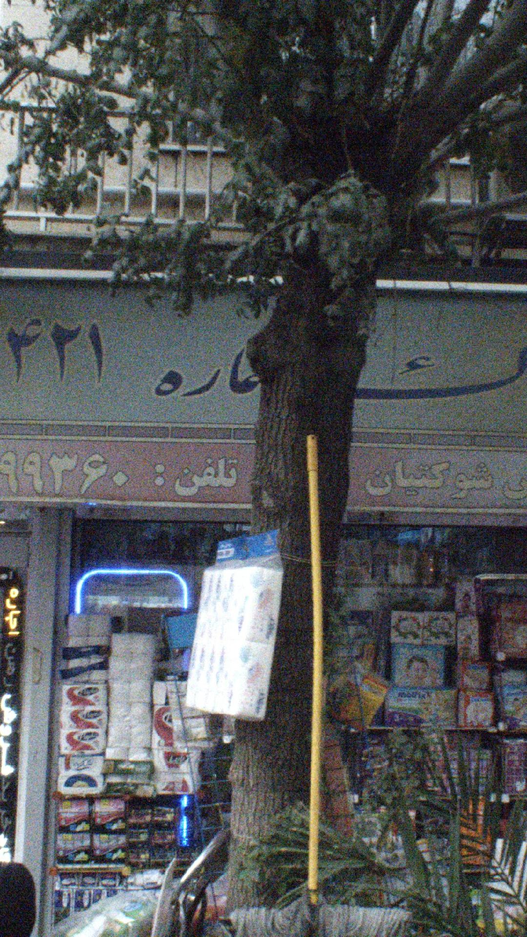 املاک بزرگ  آلفا (شعبه 4)