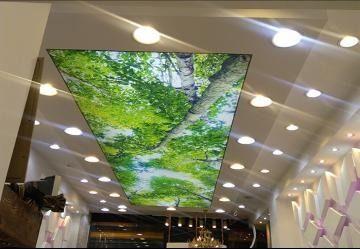 خدمات تخصصی  ساختمان امید