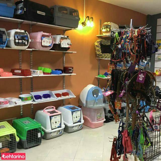 پت شاپ انیمال کالا