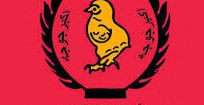 اکبر جوجه شعبه میرداماد