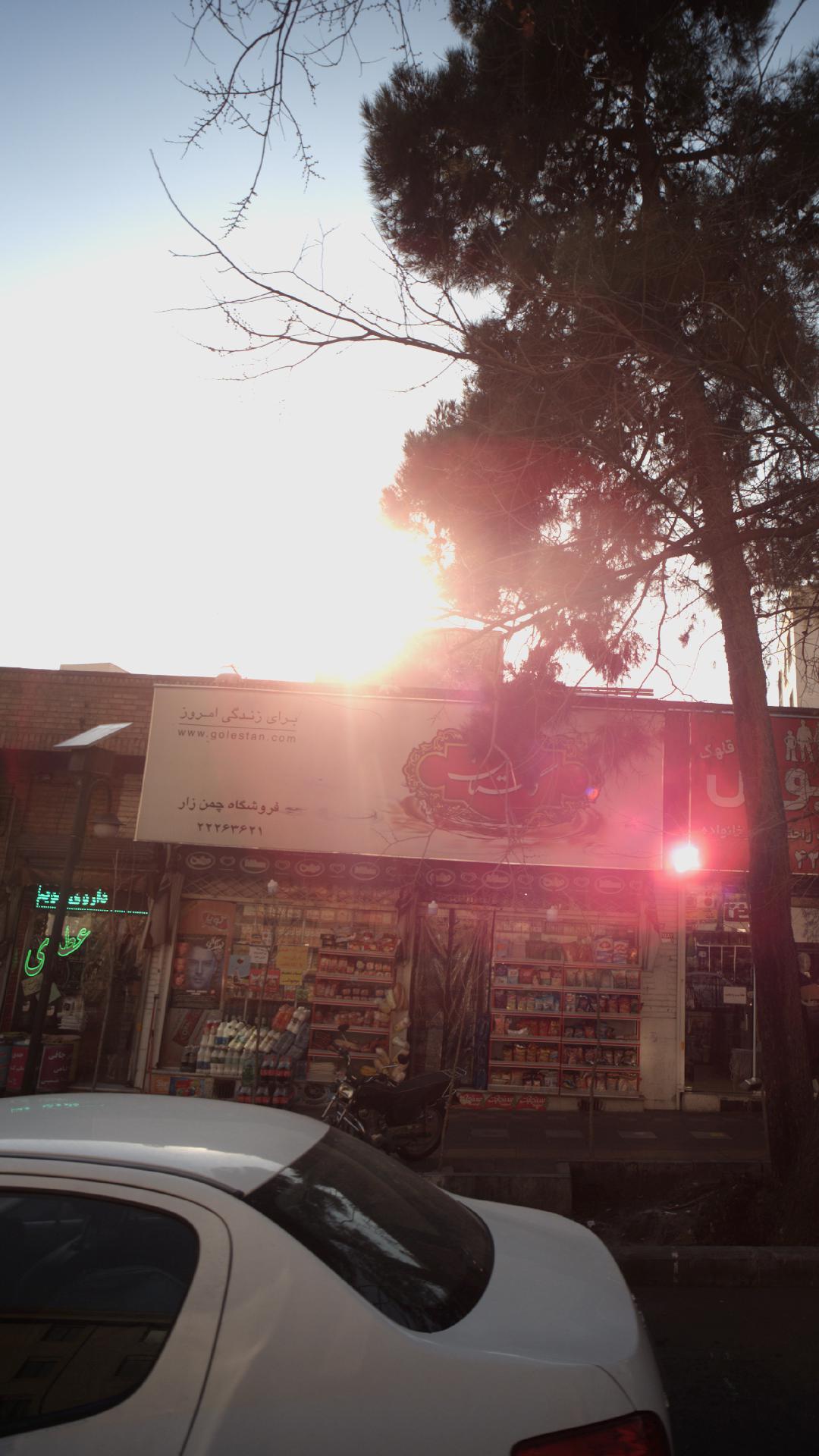 فروشگاه چمن زار