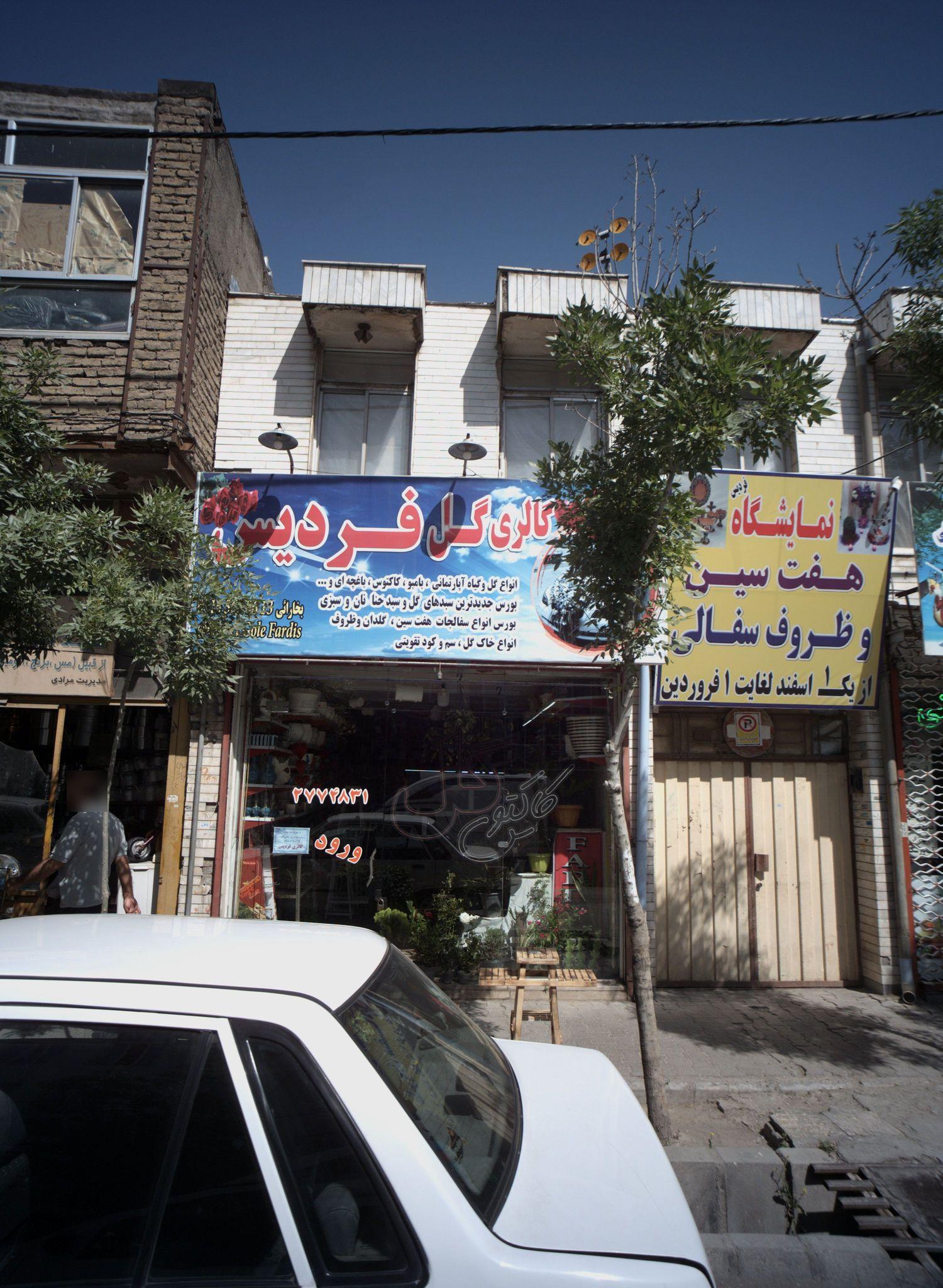 گالری گل فردیس